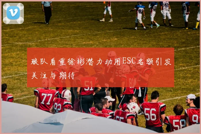 狼队看重徐彬潜力动用ESC名额引发关注与期待